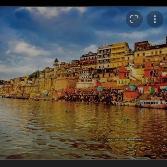 Meet your Posher, Papithi - Picture 1 of 1